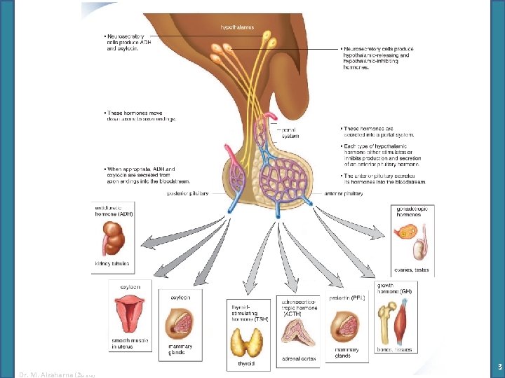 Dr. M. Alzaharna (2014) 3 