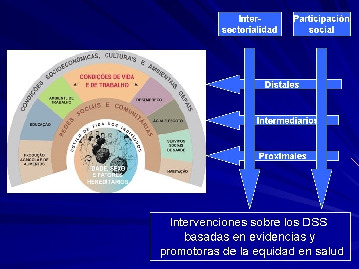 Intersectorialidad Participación social Distales Intermediarios Proximales Intervenciones sobre los DSS basadas en evidencias y
