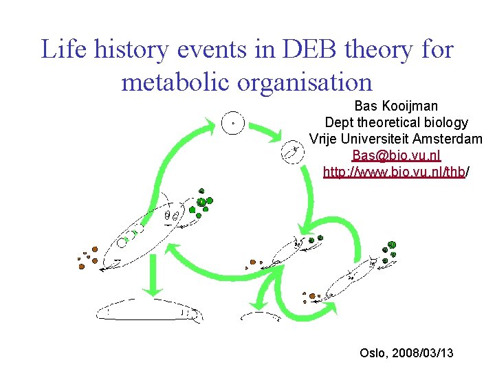 Life history events in DEB theory for metabolic organisation Bas Kooijman Dept theoretical biology