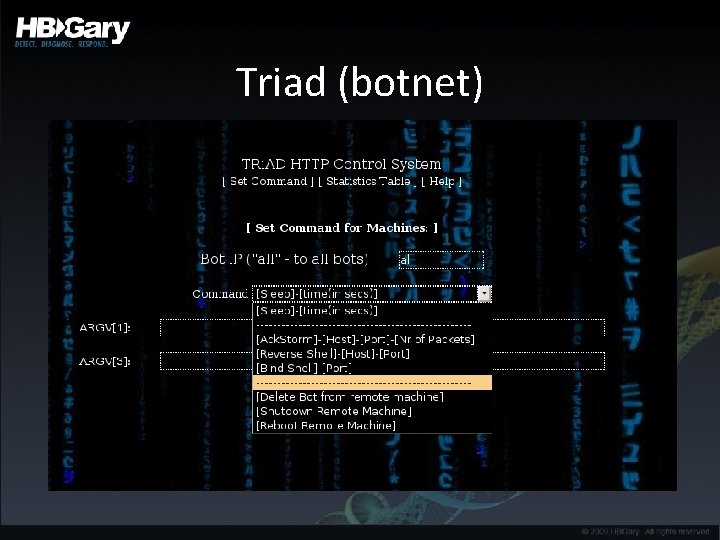 Triad (botnet) 
