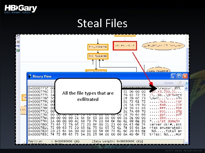 Steal Files All the file types that are exfiltrated 