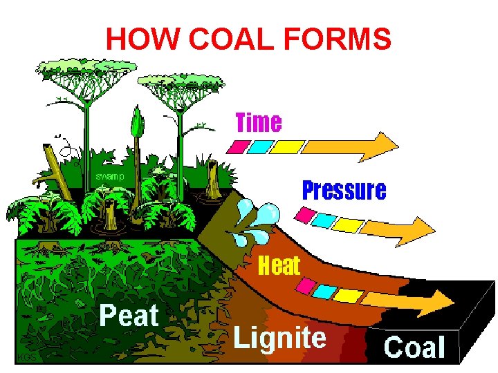 HOW COAL FORMS 21 