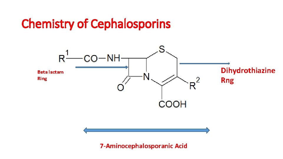 Chemistry of Cephalosporins Dihydrothiazine Rng Beta lactam Ring 7 -Aminocephalosporanic Acid 