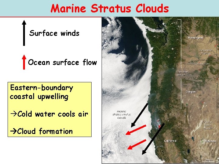 Marine Stratus Clouds Surface winds Ocean surface flow Eastern-boundary coastal upwelling Cold water cools