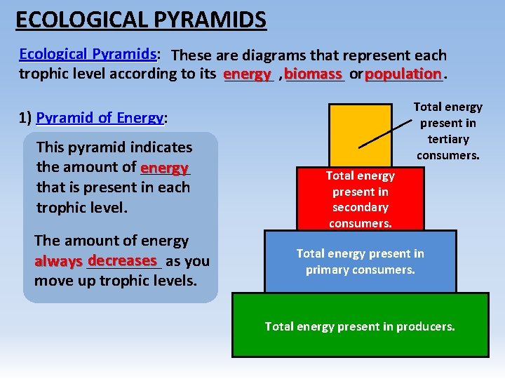ECOLOGICAL PYRAMIDS Ecological Pyramids: Pyramids These are diagrams that represent each trophic level according