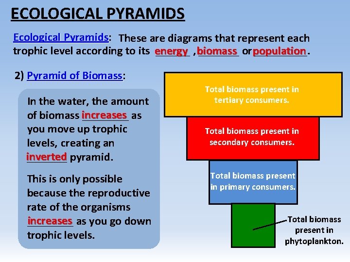 ECOLOGICAL PYRAMIDS Ecological Pyramids: Pyramids These are diagrams that represent each trophic level according