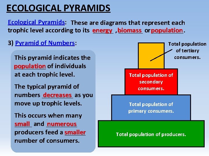 ECOLOGICAL PYRAMIDS Ecological Pyramids: Pyramids These are diagrams that represent each trophic level according