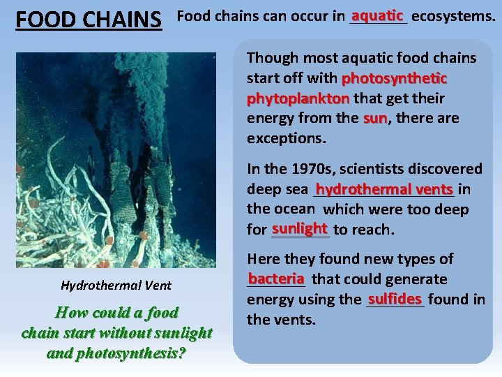 FOOD CHAINS aquatic ecosystems. Food chains can occur in _______ Though most aquatic food