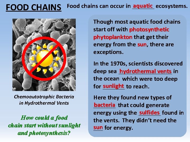 FOOD CHAINS aquatic ecosystems. Food chains can occur in _______ Though most aquatic food