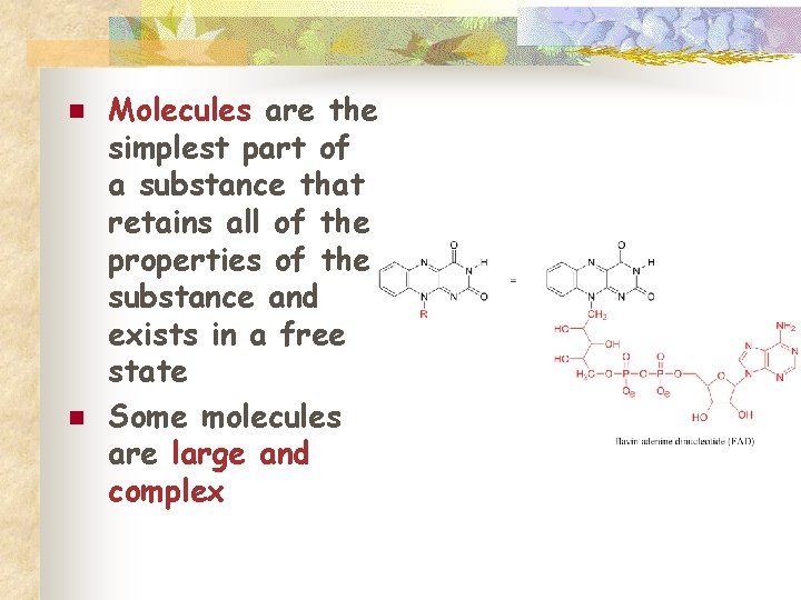 n n Molecules are the simplest part of a substance that retains all of
