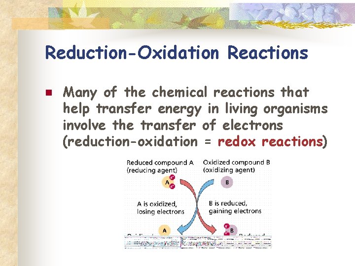 Reduction-Oxidation Reactions n Many of the chemical reactions that help transfer energy in living