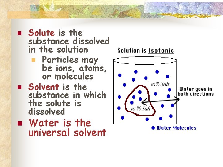 n n n Solute is the substance dissolved in the solution n Particles may