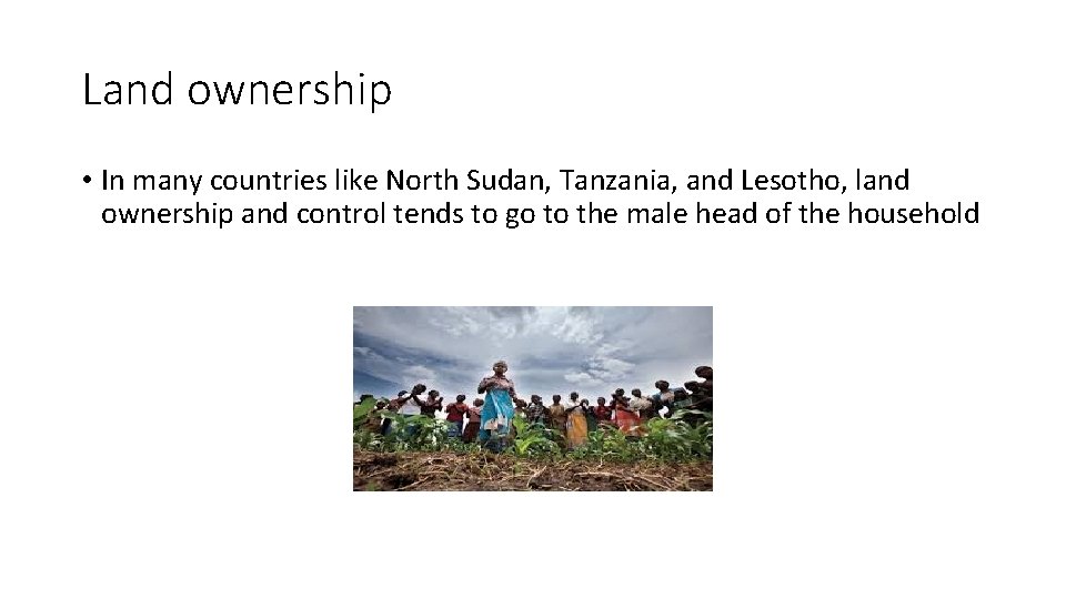 Land ownership • In many countries like North Sudan, Tanzania, and Lesotho, land ownership