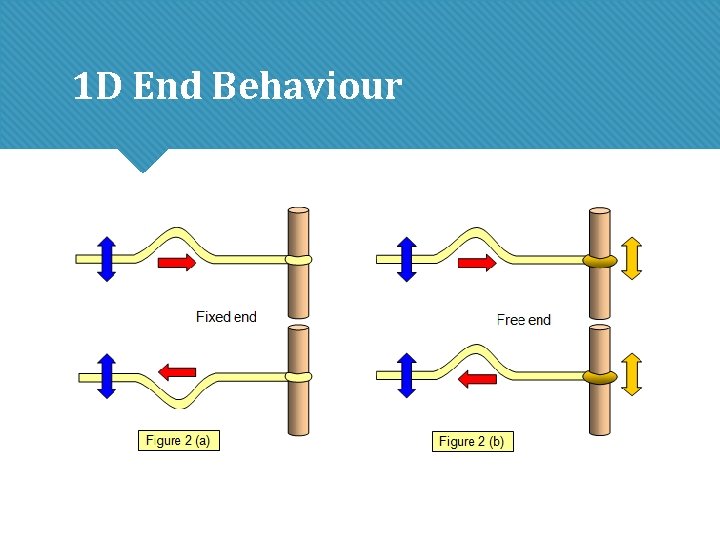 1 D End Behaviour 1 D End Behaviour