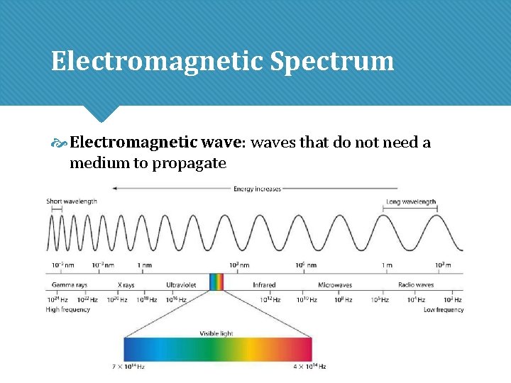 Electromagnetic Spectrum Electromagnetic wave: waves that do not need a medium to propagate Electromagnetic Spectrum Electromagnetic wave: waves that do not need a medium to propagate