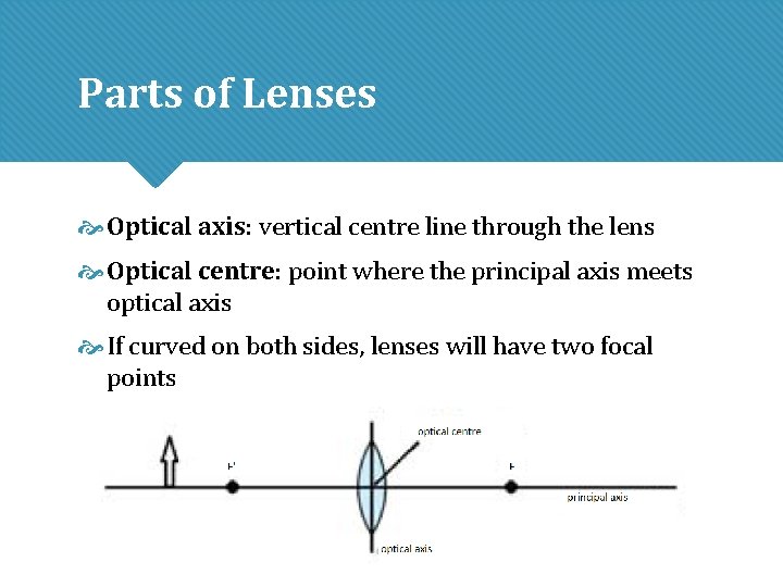 Parts of Lenses Optical axis: vertical centre line through the lens Optical centre: point Parts of Lenses Optical axis: vertical centre line through the lens Optical centre: point