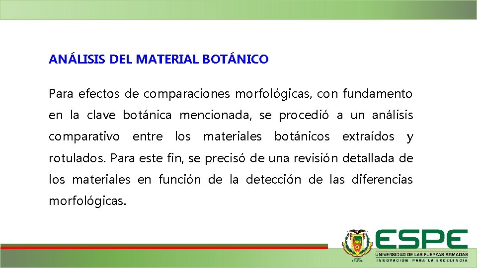 ANÁLISIS DEL MATERIAL BOTÁNICO Para efectos de comparaciones morfológicas, con fundamento en la clave