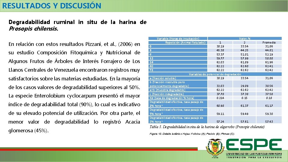 RESULTADOS Y DISCUSIÓN Degradabilidad ruminal in situ de la harina de Prosopis chilensis. En