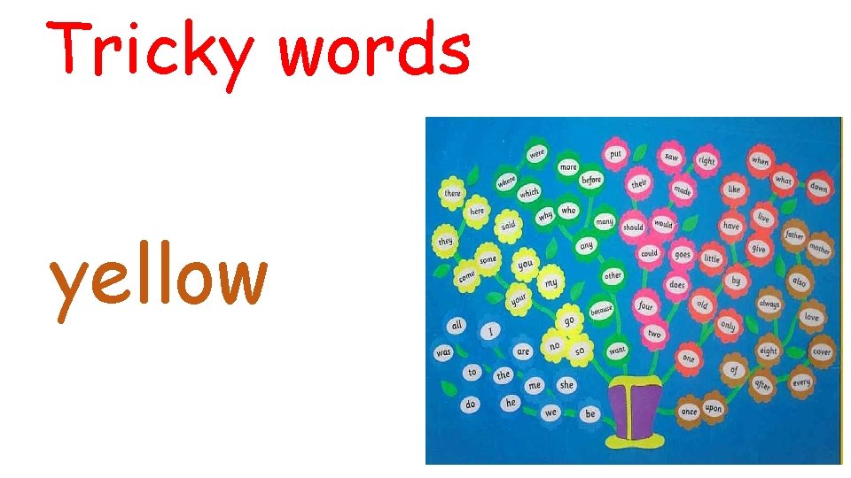 Tricky words yellow 