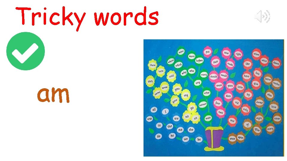 Tricky words am 