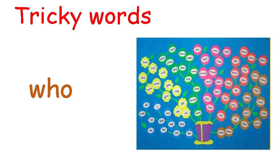Tricky words who 