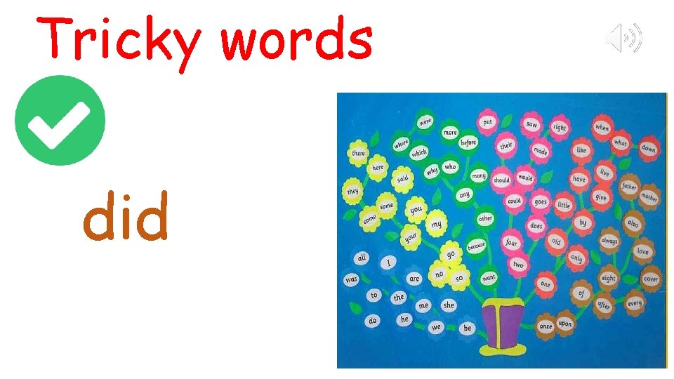 Tricky words did 