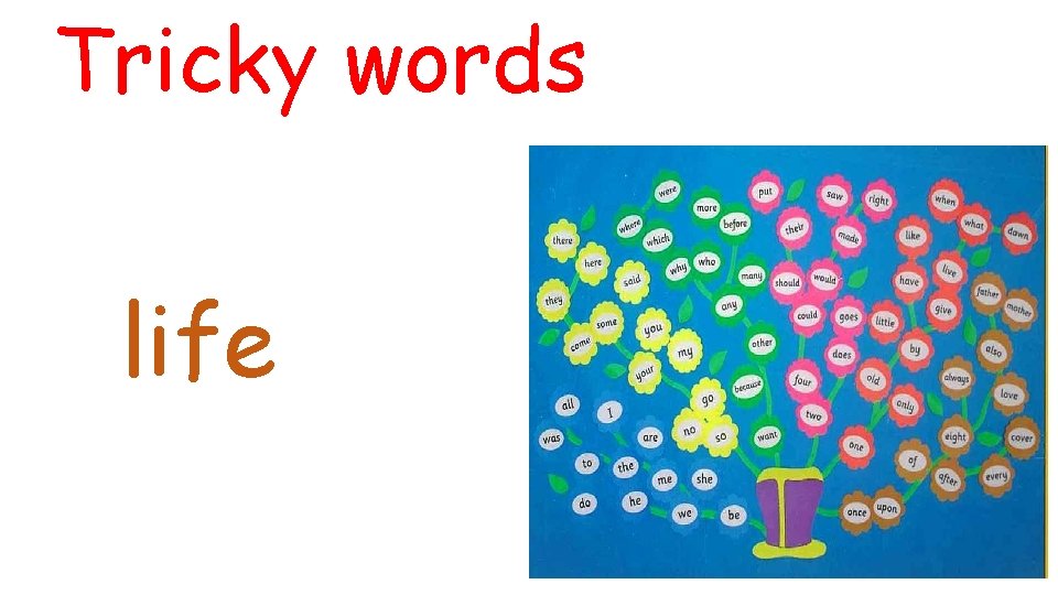 Tricky words life 
