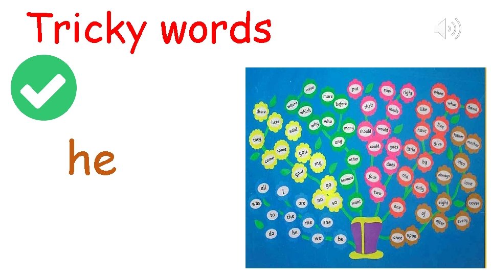 Tricky words he 