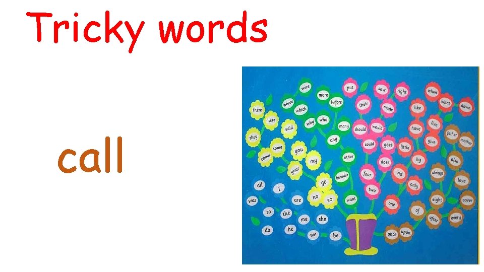 Tricky words call 