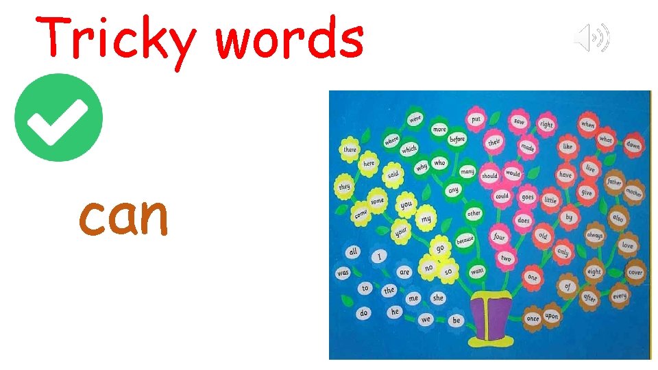Tricky words can 