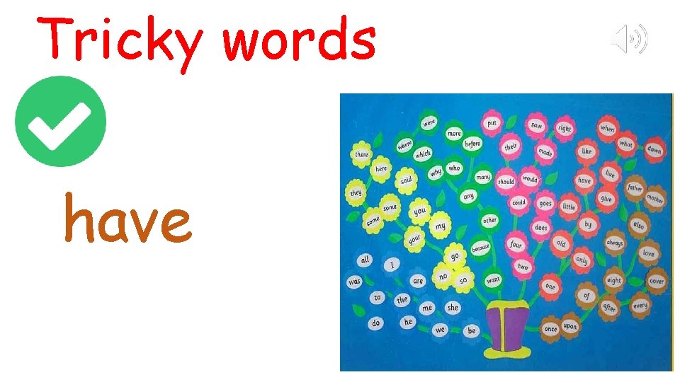 Tricky words have 
