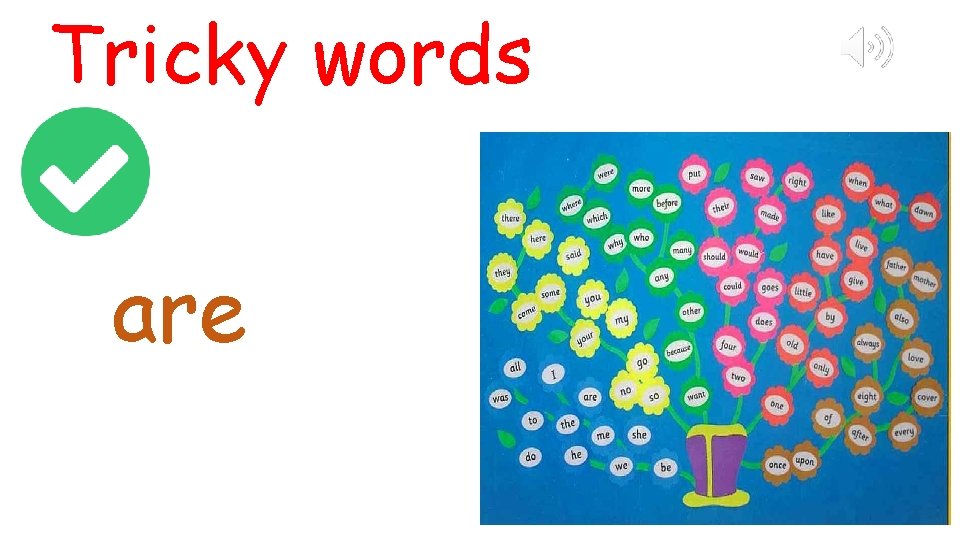 Tricky words are 