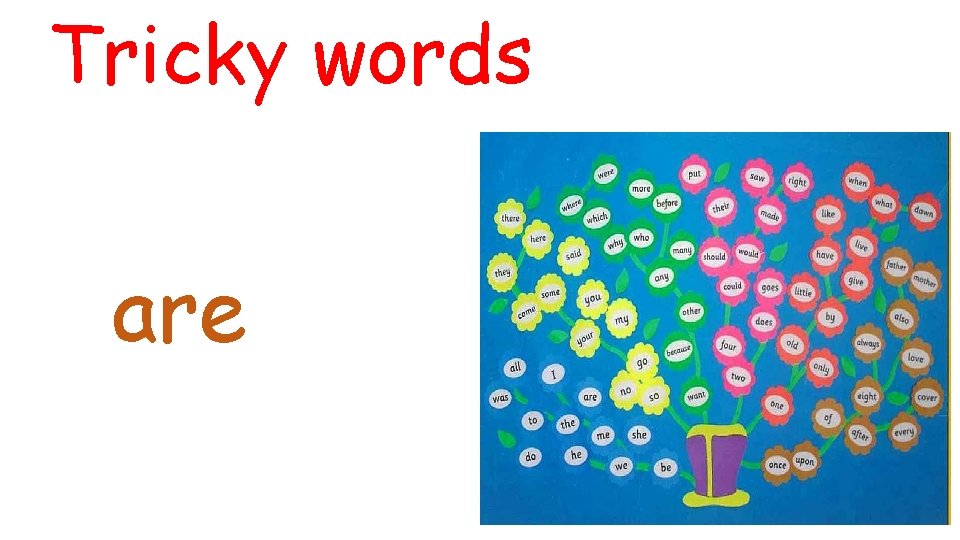 Tricky words are 