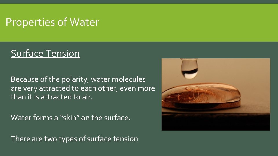 Properties of Water Surface Tension Because of the polarity, water molecules are very attracted