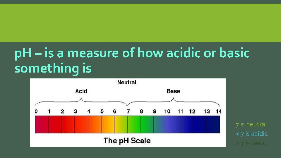 p. H – is a measure of how acidic or basic something is 7
