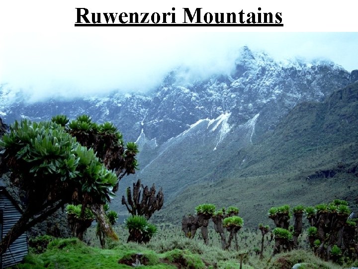 Ruwenzori Mountains 