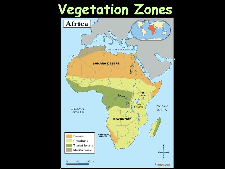 Vegetation Zones 