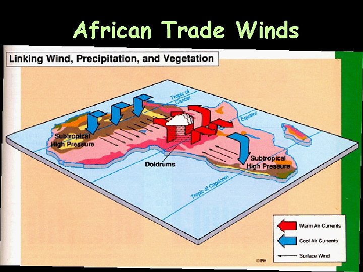African Trade Winds 