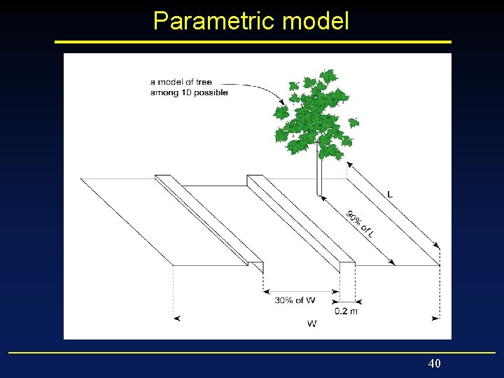 Parametric model 40 