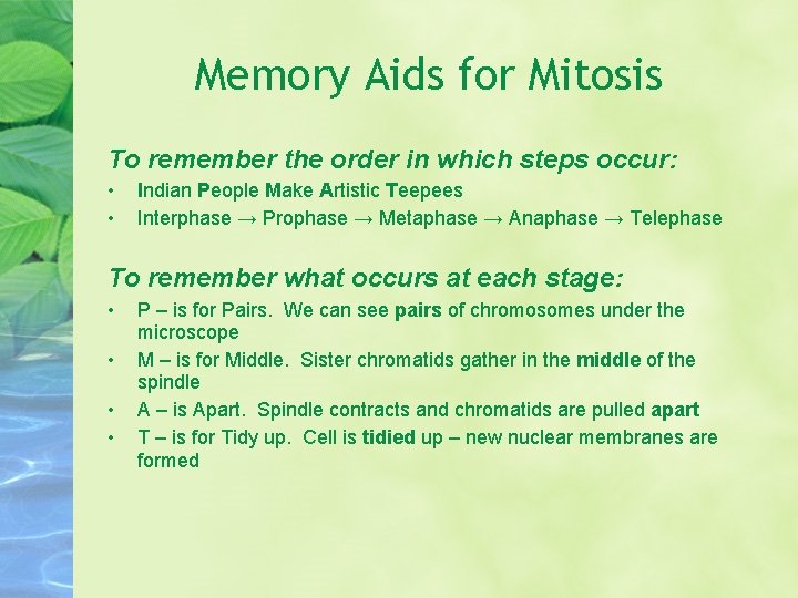 Memory Aids for Mitosis To remember the order in which steps occur: • •