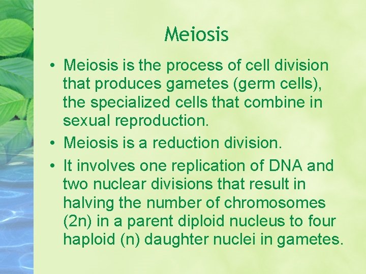 Meiosis • Meiosis is the process of cell division that produces gametes (germ cells),