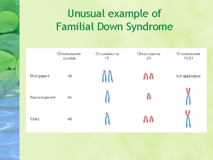Unusual example of Familial Down Syndrome 