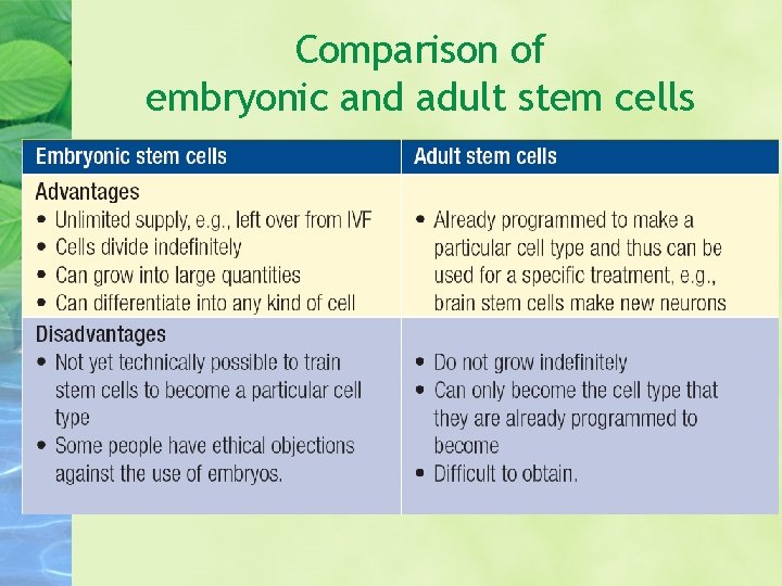Comparison of embryonic and adult stem cells 