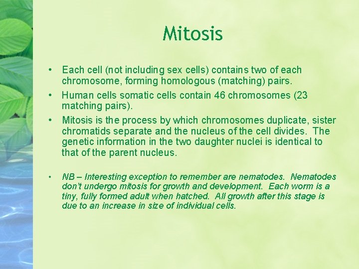 Mitosis • Each cell (not including sex cells) contains two of each chromosome, forming