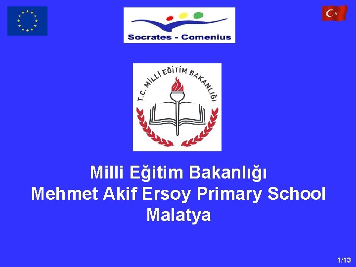 Milli Eğitim Bakanlığı Mehmet Akif Ersoy Primary School Malatya 1/13 