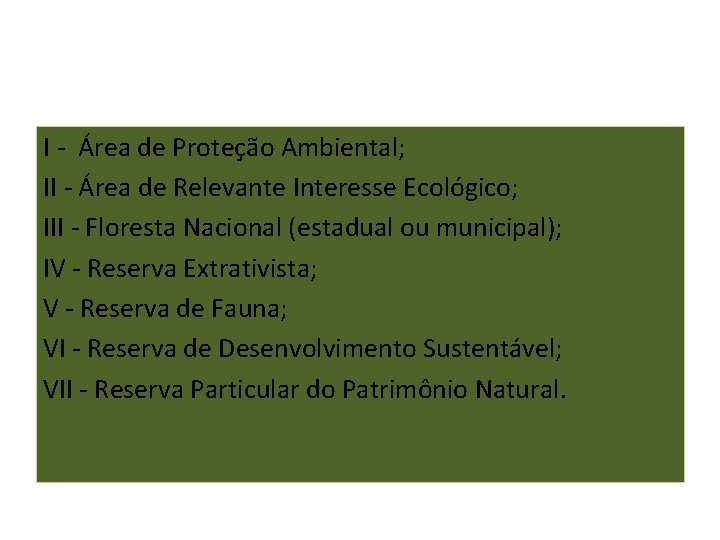 I - Área de Proteção Ambiental; II - Área de Relevante Interesse Ecológico; III