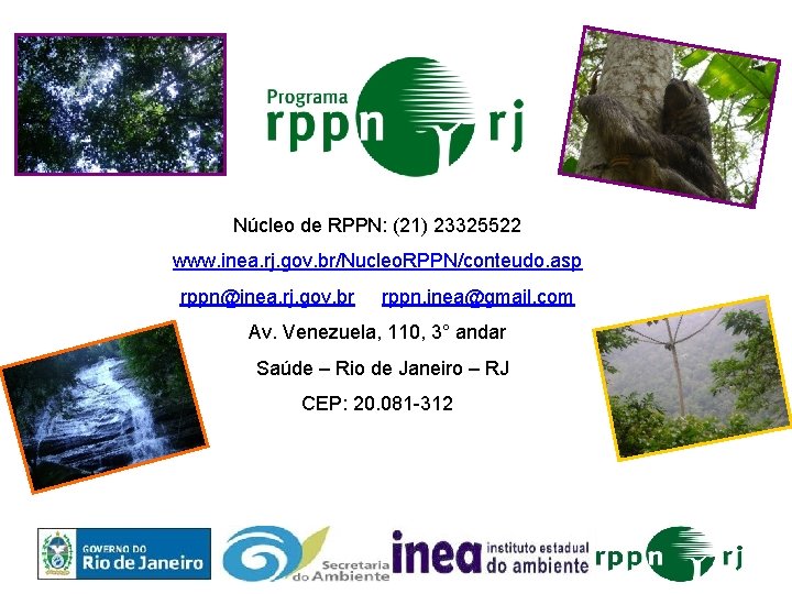 Núcleo de RPPN: (21) 23325522 www. inea. rj. gov. br/Nucleo. RPPN/conteudo. asp rppn@inea. rj.