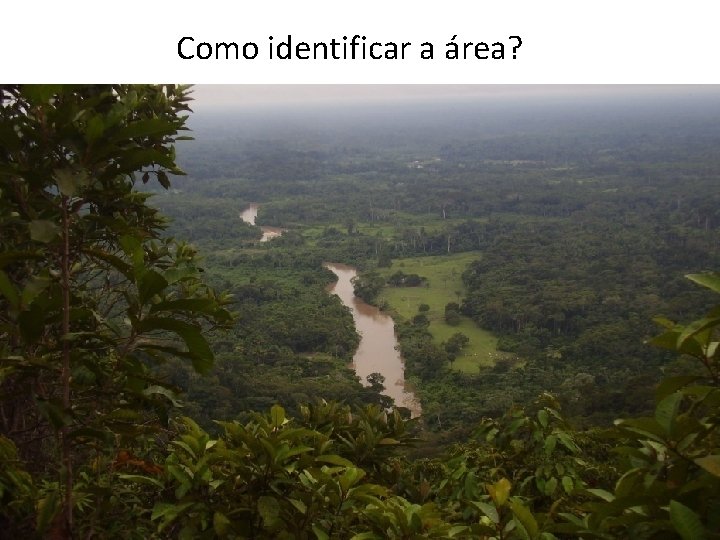 Como identificar a área? 