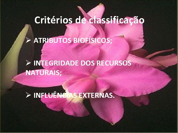 Critérios de classificação Ø ATRIBUTOS BIOFÍSICOS; Ø INTEGRIDADE DOS RECURSOS NATURAIS; Ø INFLUÊNCIAS EXTERNAS.