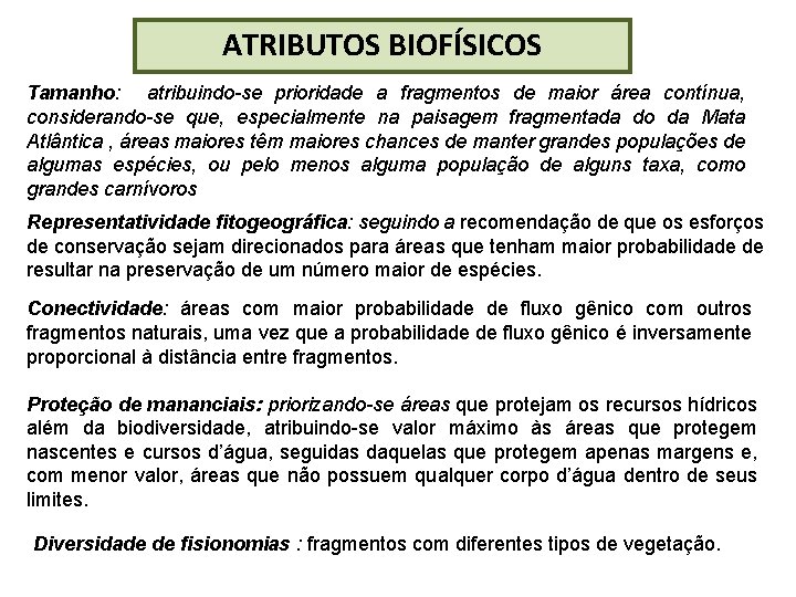 ATRIBUTOS BIOFÍSICOS Tamanho: atribuindo-se prioridade a fragmentos de maior área contínua, considerando-se que, especialmente